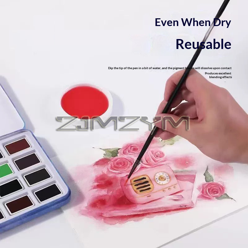 수채 물감 세트, 전문가용 수채 물감, 미술용 안료,  - Watercolor Paint Set Solid Pigment 리뷰 및 가격