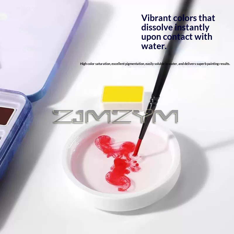 수채 물감 세트, 전문가용 수채 물감, 미술용 안료,  - Watercolor Paint Set Solid Pigment 리뷰 및 가격
